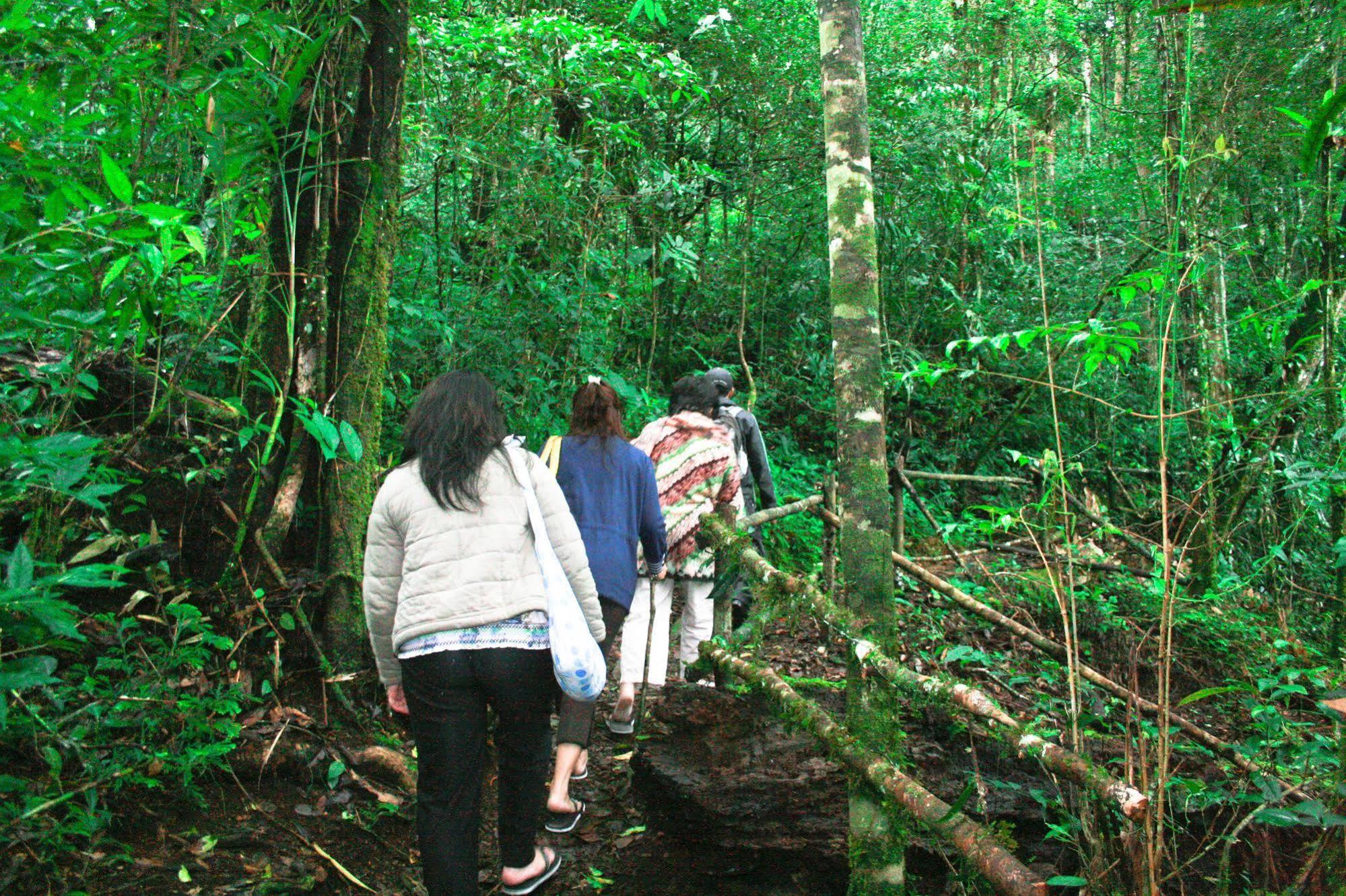Taman Simalem Resort Tongging Εξωτερικό φωτογραφία