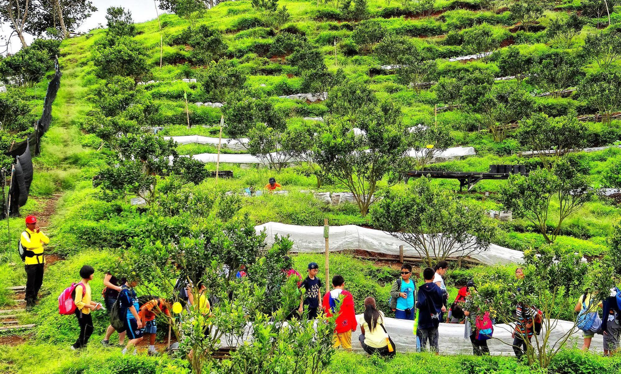 Taman Simalem Resort Tongging Εξωτερικό φωτογραφία